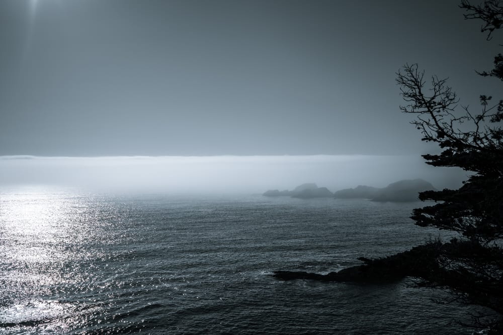 Marine Layer
