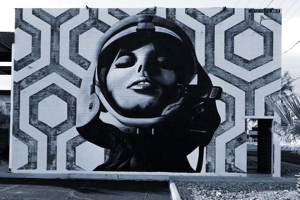 The Woman in Space