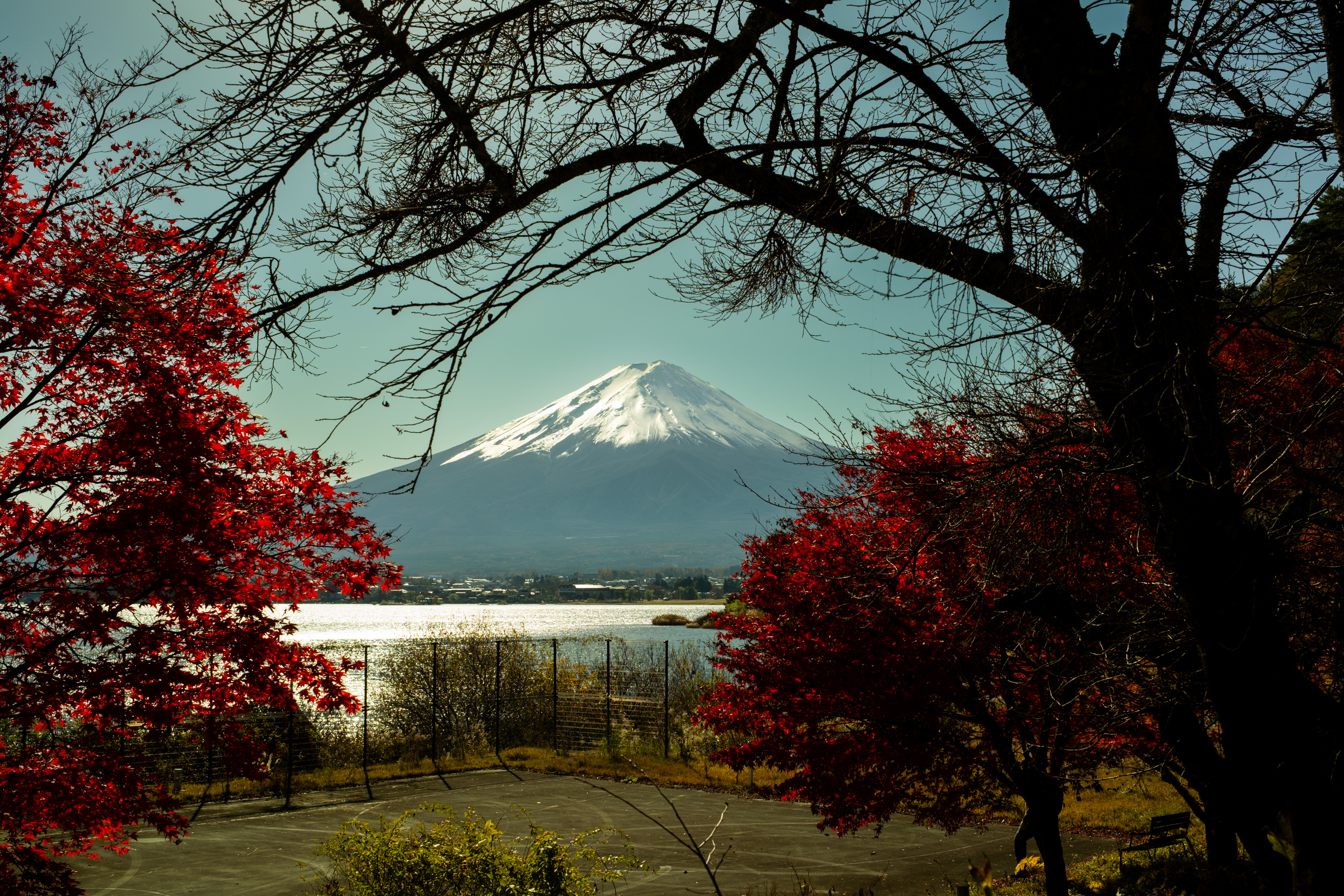 Mt Fuji in Nov.