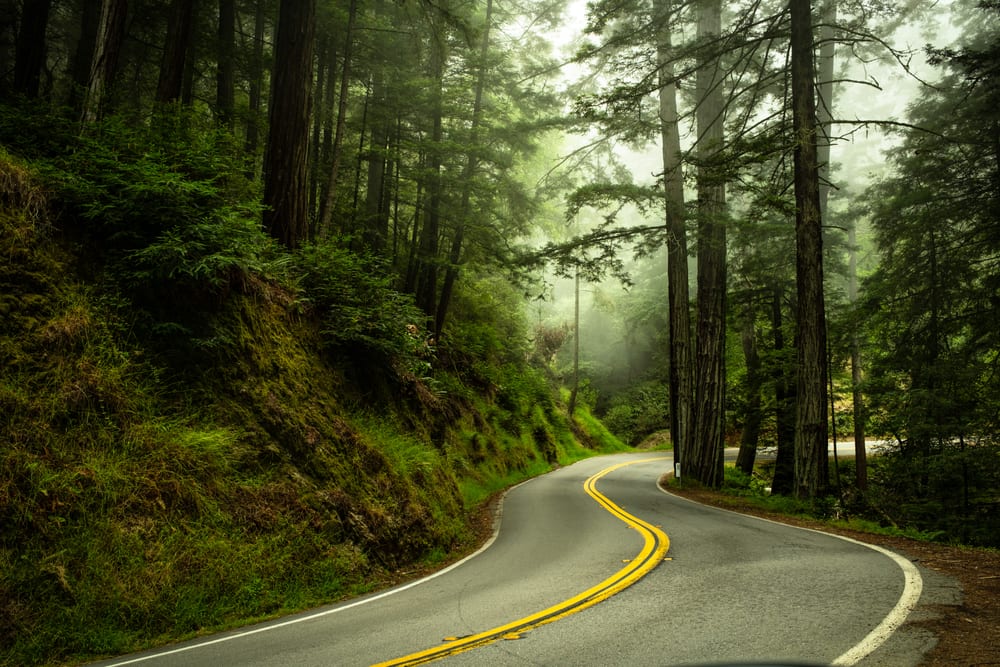 NorCal Roadtrip