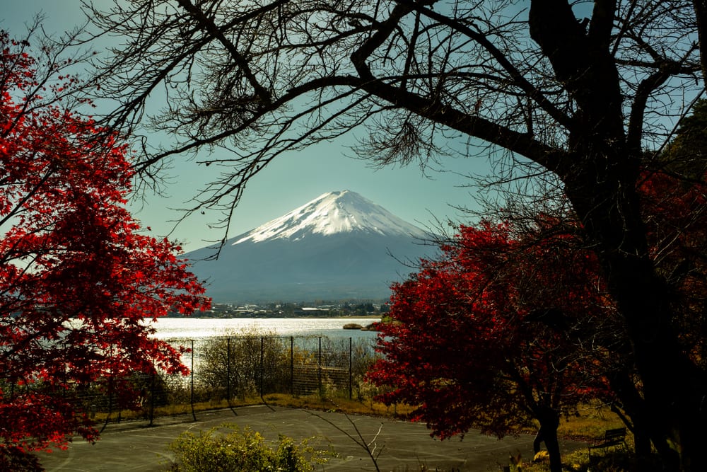 Mt Fuji in Nov.